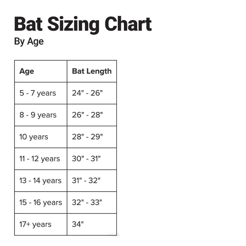Easton Quantum USSSA Youth Baseball Bat | 28 in | -10